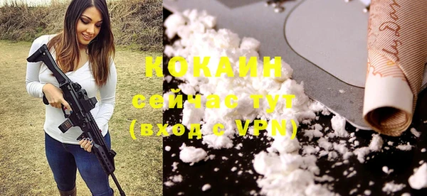 стаф Волоколамск