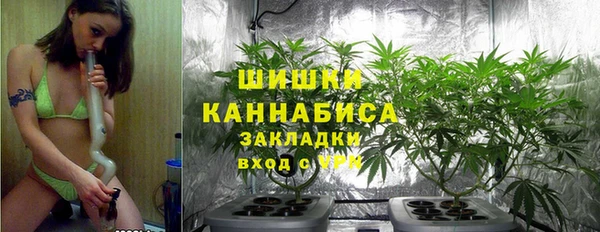дурь Верея