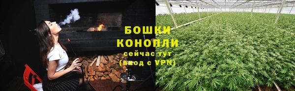дурь Верея