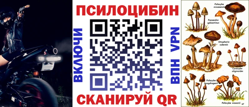 наркошоп  Кимры  Псилоцибиновые грибы GOLDEN TEACHER 